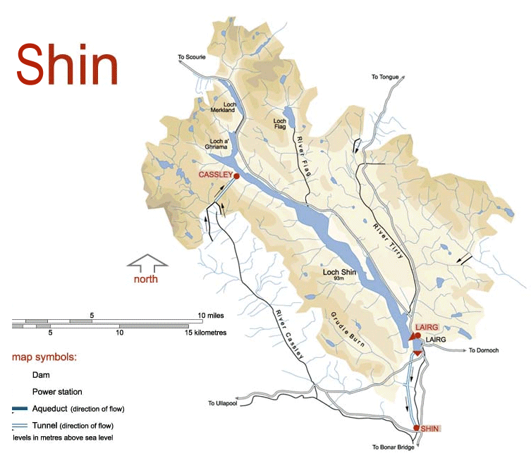 Shin map