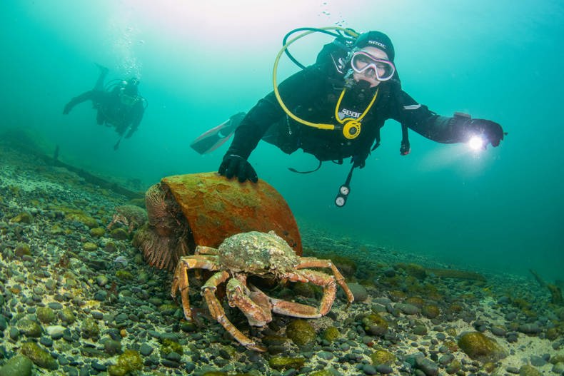 Wexford Sub Aqua Club 2